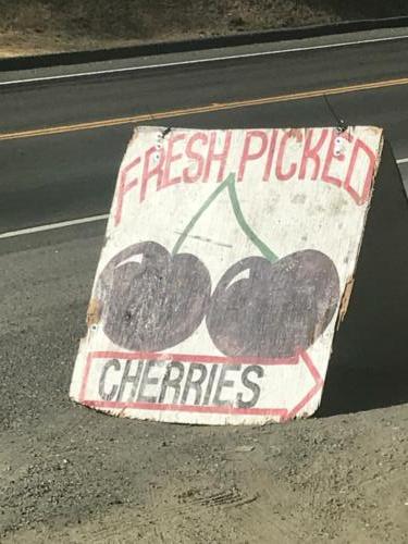 Roadside Cherries